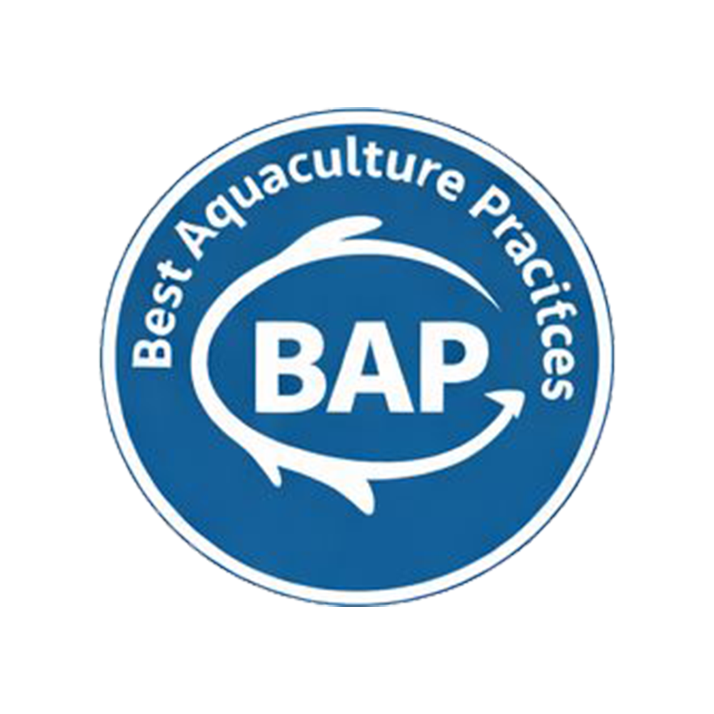 bap logo