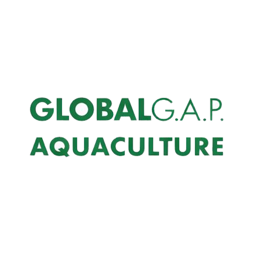 global